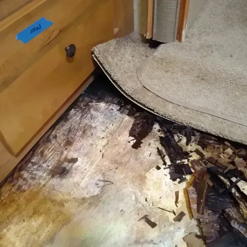 Wood Floor Water Damage in Indianola, MS